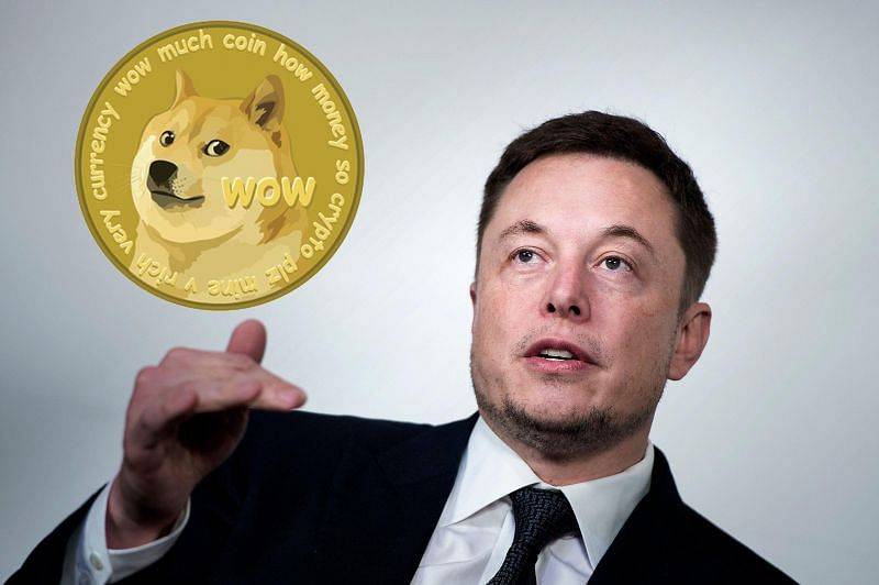 马斯克转发DOGE节点更新消息称很重要